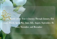 Twelve Months of the Year A Journey Through January, February, March, April, May, June, July, August, September, October, November, and December