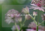 líng lóng tī tòu de pīn yīn yǔ wén zì zhī měi