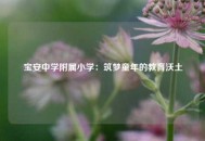 宝安中学附属小学：筑梦童年的教育沃土