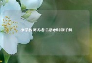 小学教师资格证报考科目详解