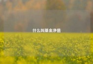 什么叫基金净值