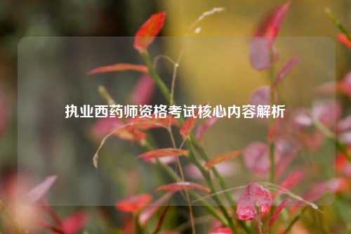 执业西药师资格考试核心内容解析