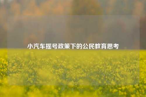 小汽车摇号政策下的公民教育思考