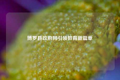 博罗县政府网引领教育新篇章