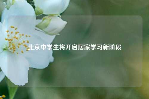 北京中学生将开启居家学习新阶段
