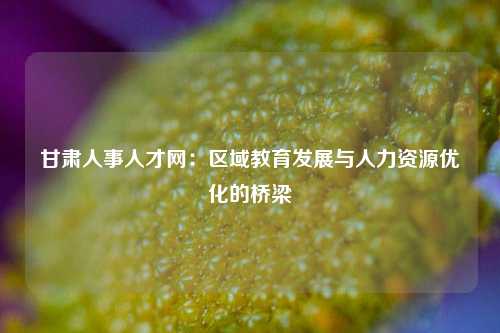 甘肃人事人才网:区域教育发展与人力资源优化的桥梁