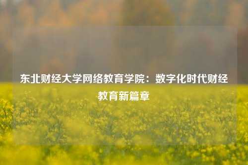 东北财经大学网络教育学院:数字化时代财经教育新篇章