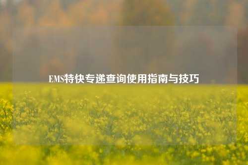 EMS特快专递查询使用指南与技巧
