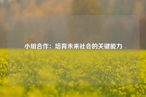 小组合作：培育未来社会的关键能力