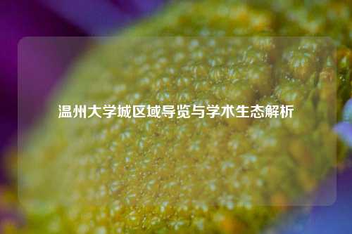 温州大学城区域导览与学术生态解析
