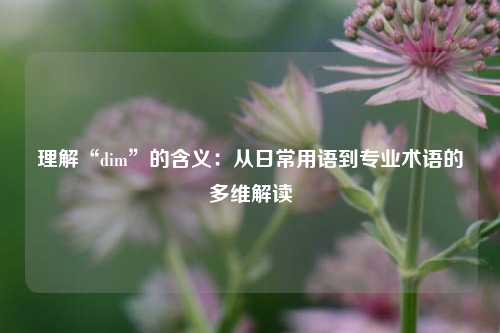 理解“dim”的含义：从日常用语到专业术语的多维解读