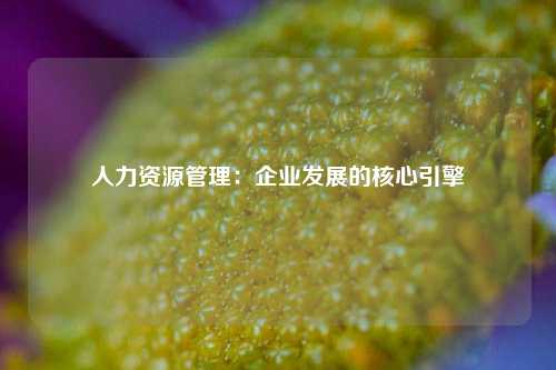 人力资源管理：企业发展的核心引擎